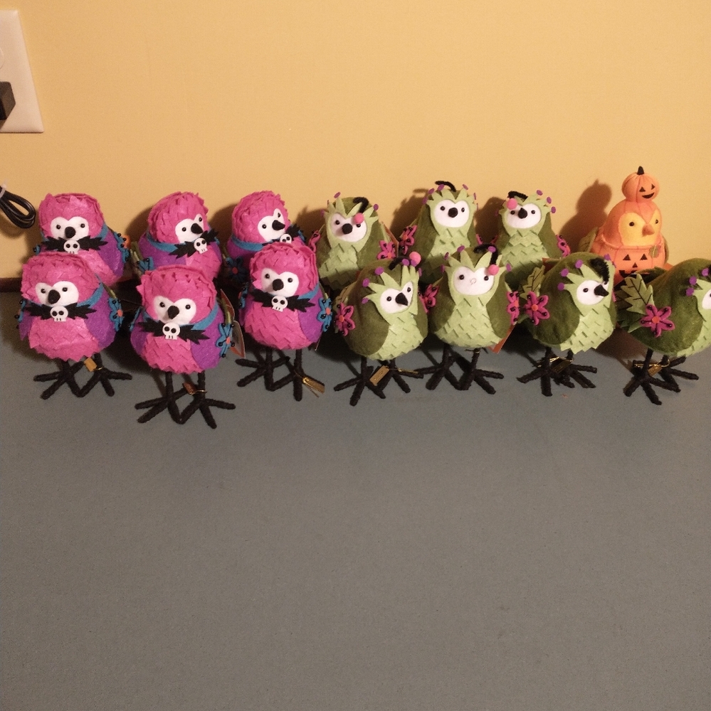 Target Seasonal Birds
